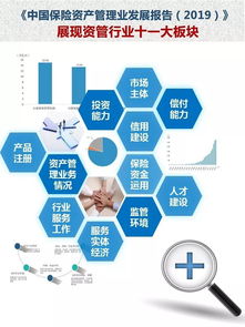 《中國保險資產管理業發展報告2019》 洞察資本管理新趨勢，引領行業高質量發展